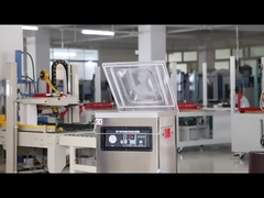 DUOQI DZ-400 Máquina de embalagem a vácuo de câmara única com comando elétrico